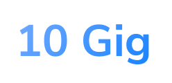 Blue-10Gig-Logo