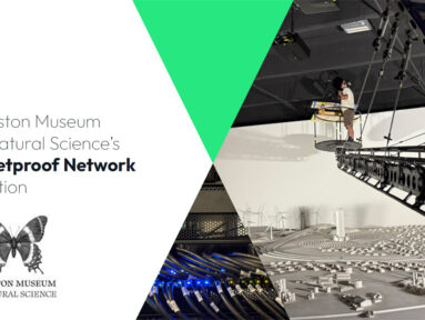 NETGEAR powers advanced projection mapping Installations at Houston Museum of Natural Science