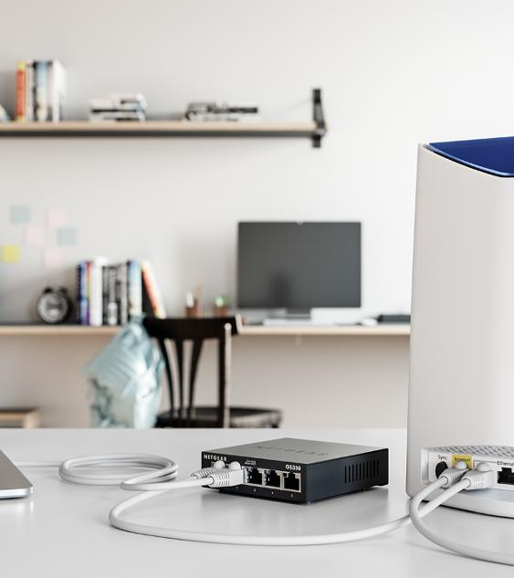 netgear switch connected to an orbi router