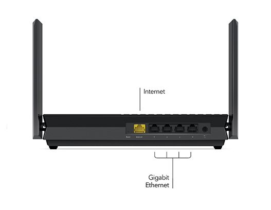 RAX20_ConnectionDiagram_Web